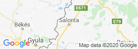 Salonta map