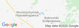 Novomichurinsk map
